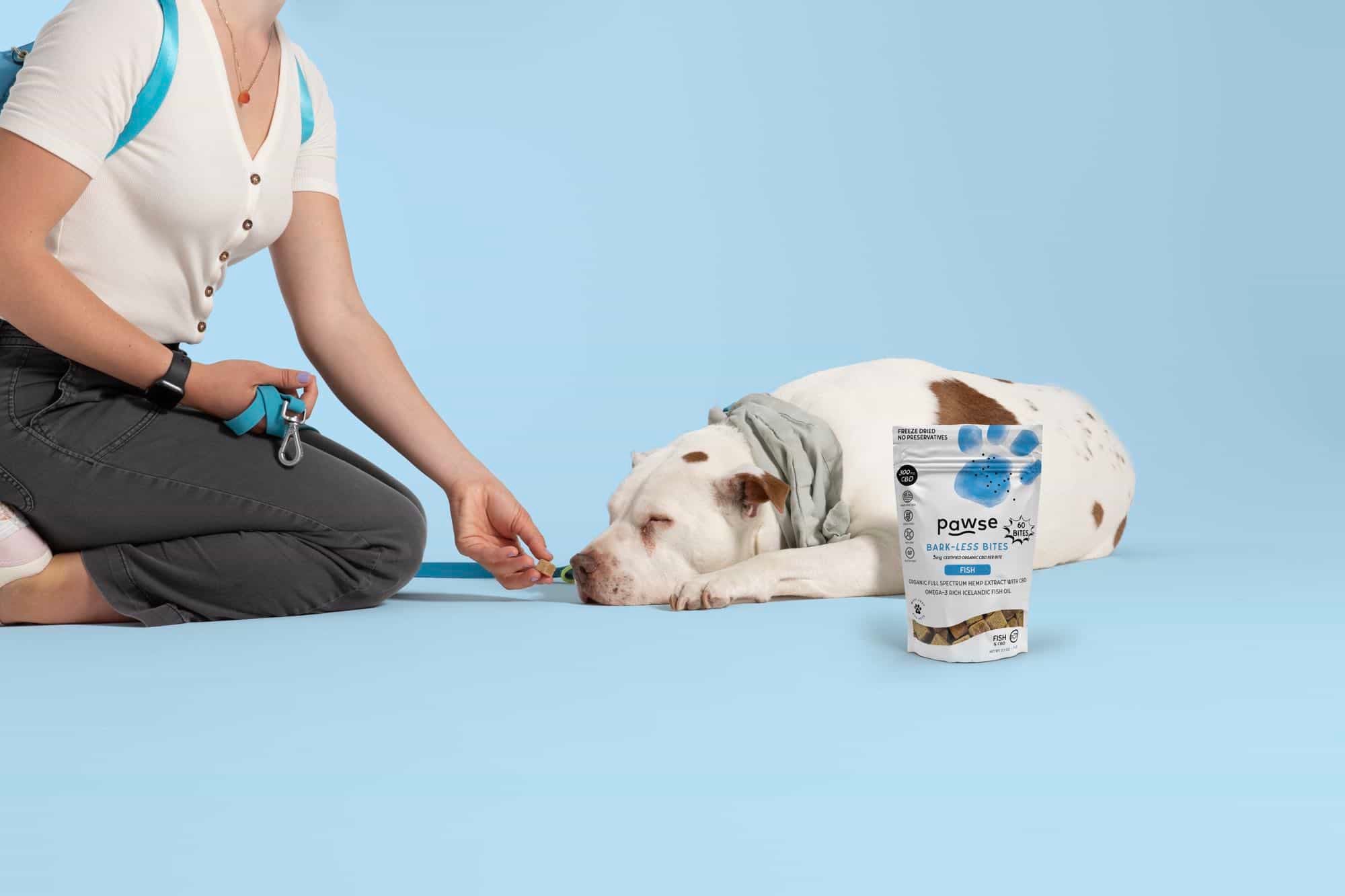 A person offers a treat to a sleeping dog next to a bag of pet snacks.